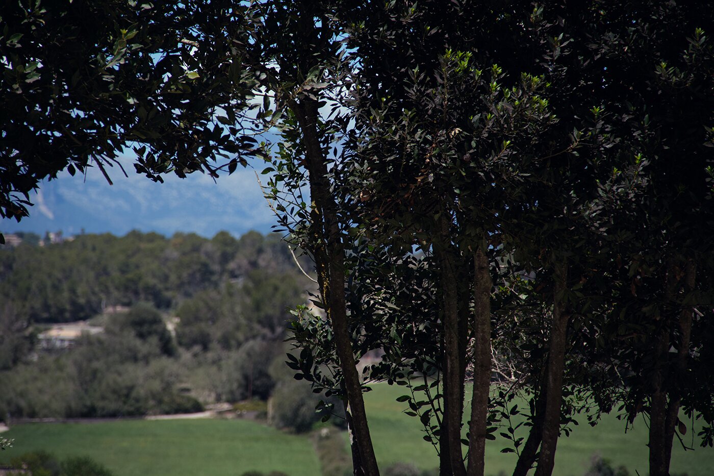 Romantisches Boutique-Fincahotel auf Mallorca